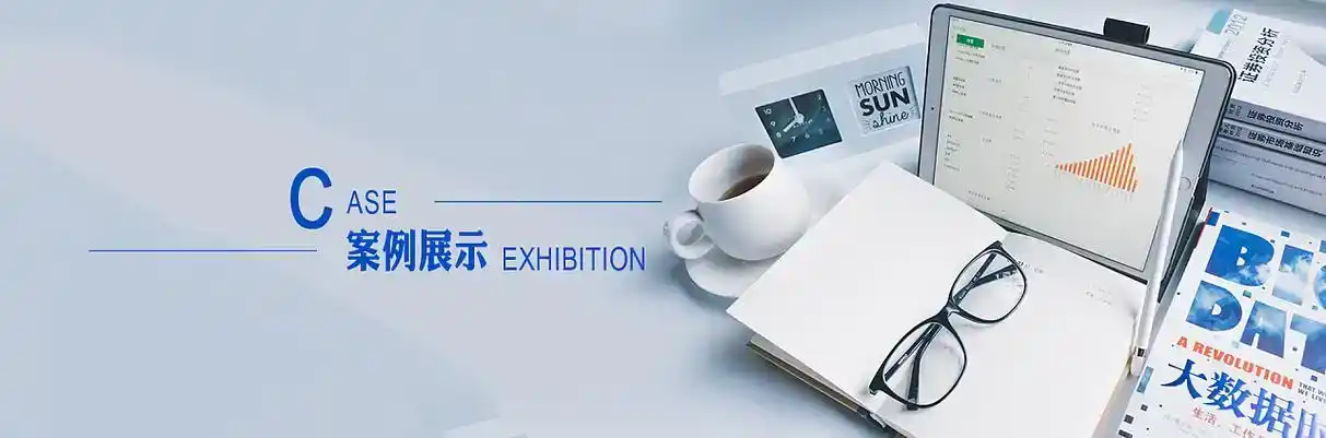 萝北县软件开发